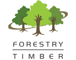 Forestry Timber Brand Catalog Logo